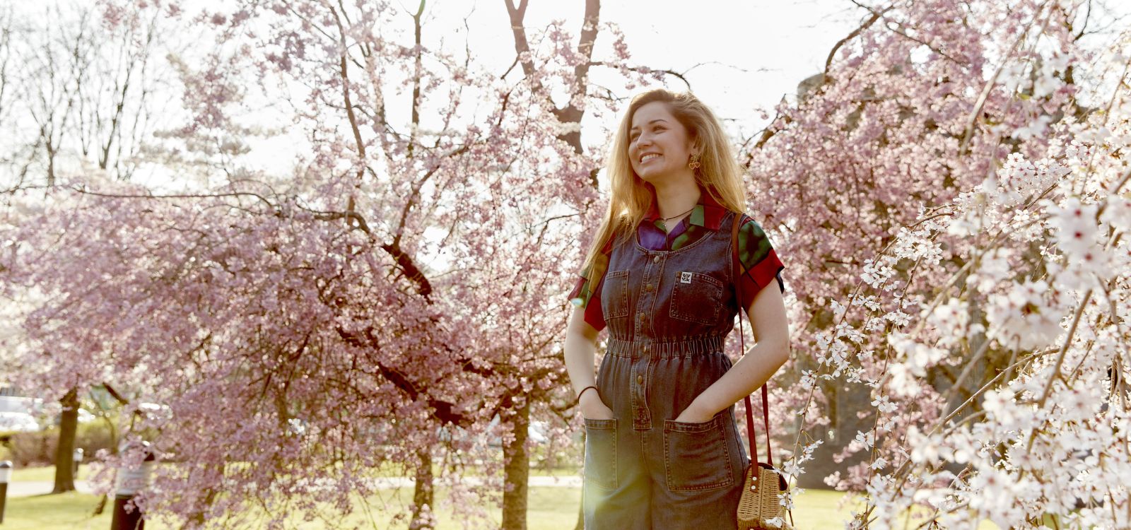 Enhancing our beautiful campus